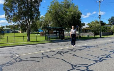 ePetition: Resurface Oxley Rd, Oxley